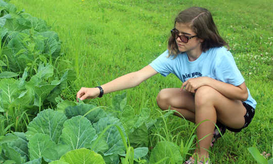 Some Gardening Advice from Indigenous Food Growers