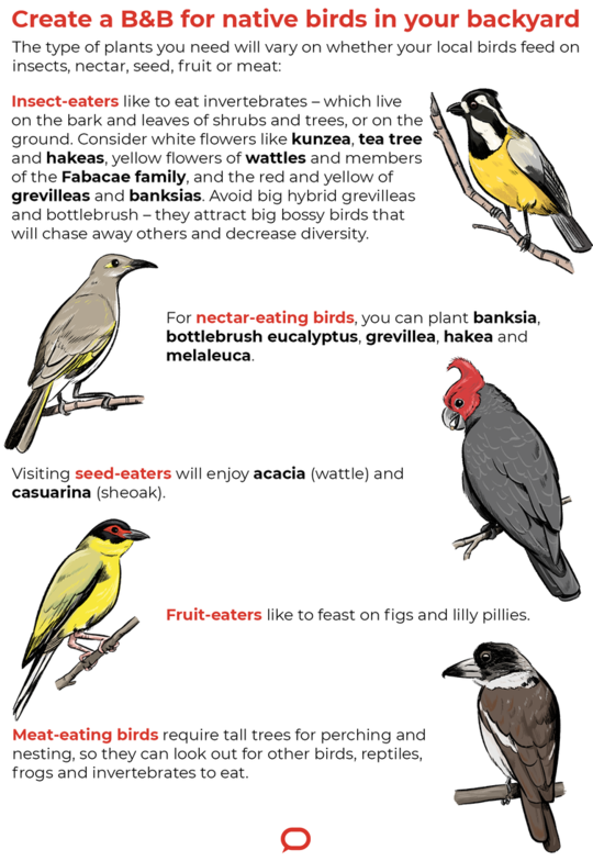 How To Transform Your Garden Or Balcony Into A Wildlife Haven