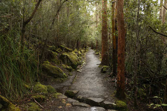 Time spent in natural green spaces is more restorative than in urban settings.