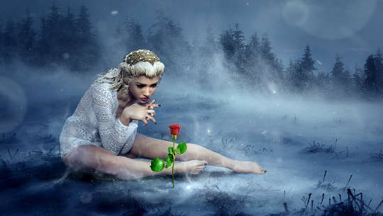 a young girl sitting in the snow gazes intently at a red rose growing out of the snow