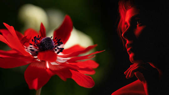 woman looking at a beautiful flower