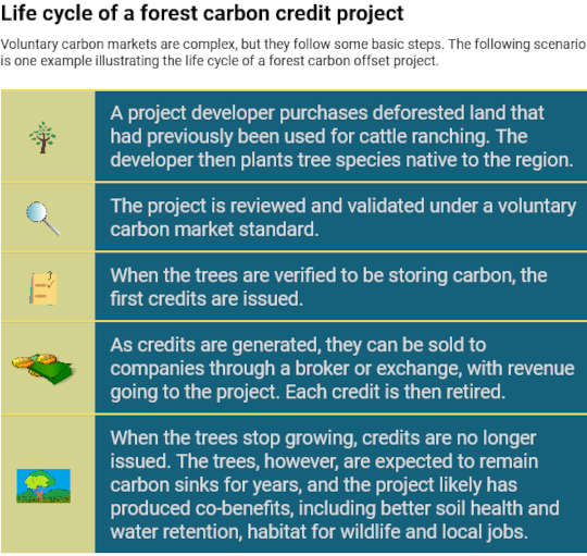 Why Companies' Net-zero Emissions Pledges Should Trigger A Healthy Dose Of Skepticism