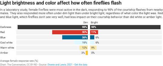 How To Help Fireflies Who Need Dark Nights For Their Summer Light Shows 