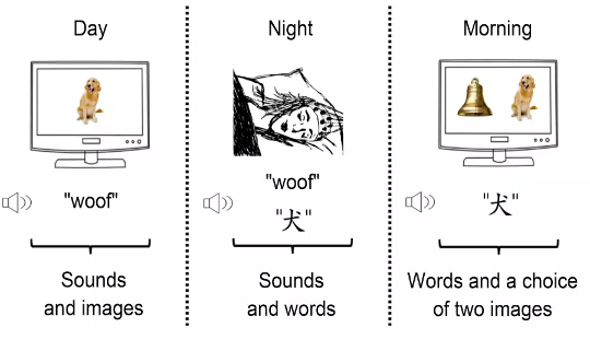 learning a language2 10 20