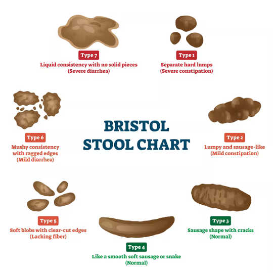 why loose stools2 2 19