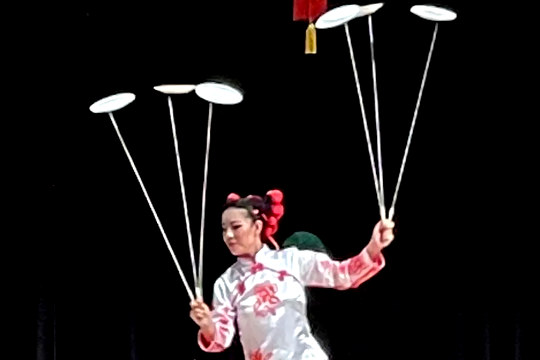 a woman balancing a series of plates on sticks