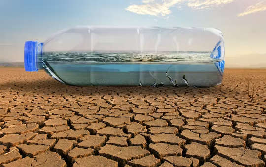 an empty water bottle on a parched landscape