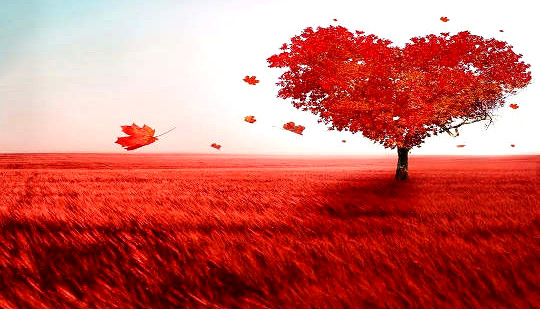 a red tree shaped as a heart