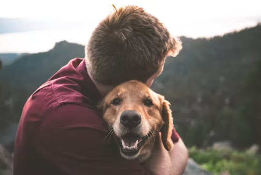 anxious dogs are different 7 16