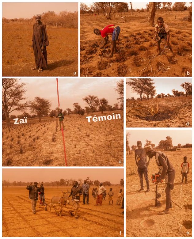 farmers-sahel