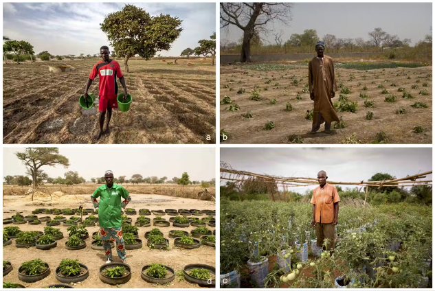 04 24 4 farmers sahel