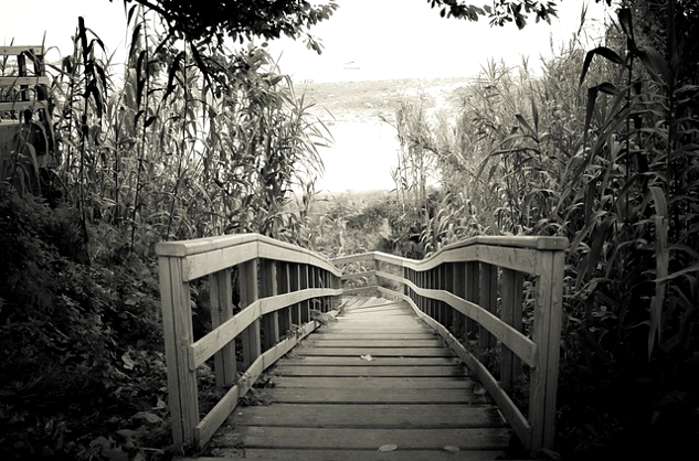 a wooden walking brigge veering off to sights unseen