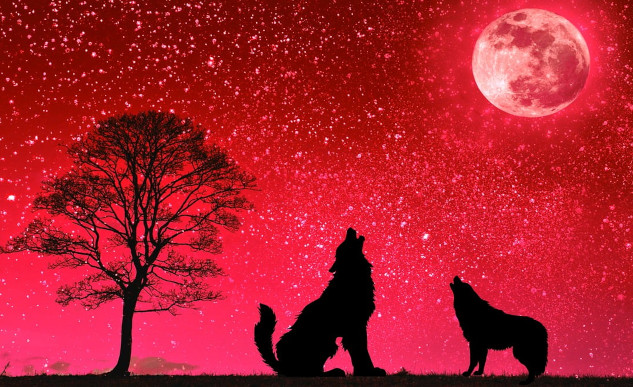 wolves howling at a full moon in a red sky background