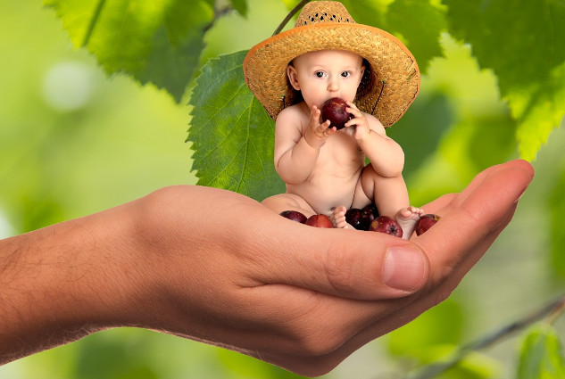 a small baby eating fruit and sitting in an oversized hand