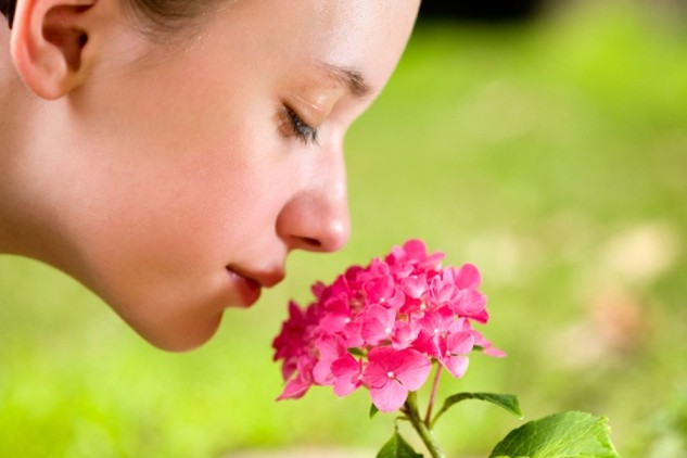 A close-up of a person gently holding a flower near their nose with eyes closed, symbolizing the sense of smell. 