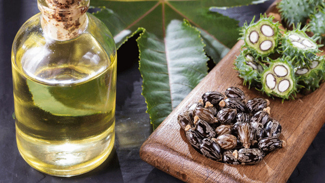 Castor oil bottle placed beside castor beans, highlighting its popularity as an alternative remedy for skin and hair care.