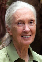 photo of Jane Goodall