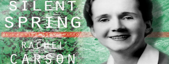 silent spring at 50