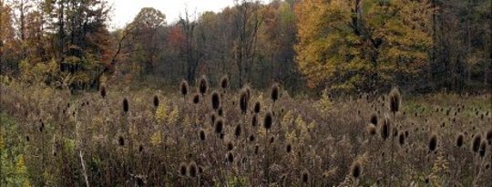 Sowing and Reaping: If You're Sowing Weeds, Don't Expect Wheat