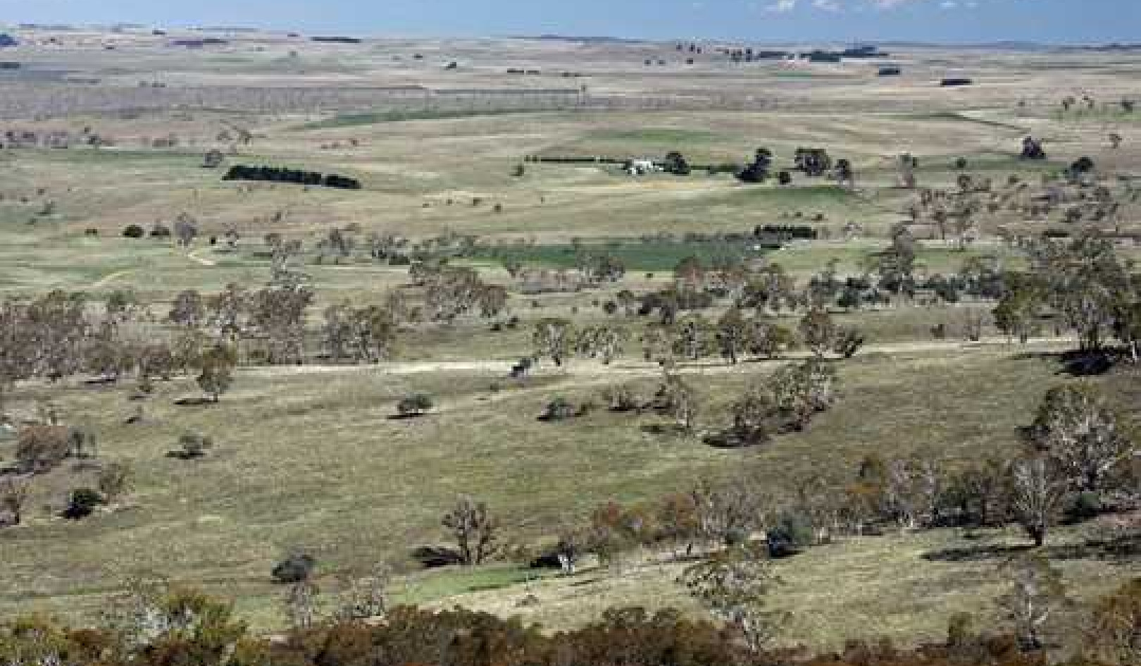 What Are Native Grasslands, And Why Do They Matter?