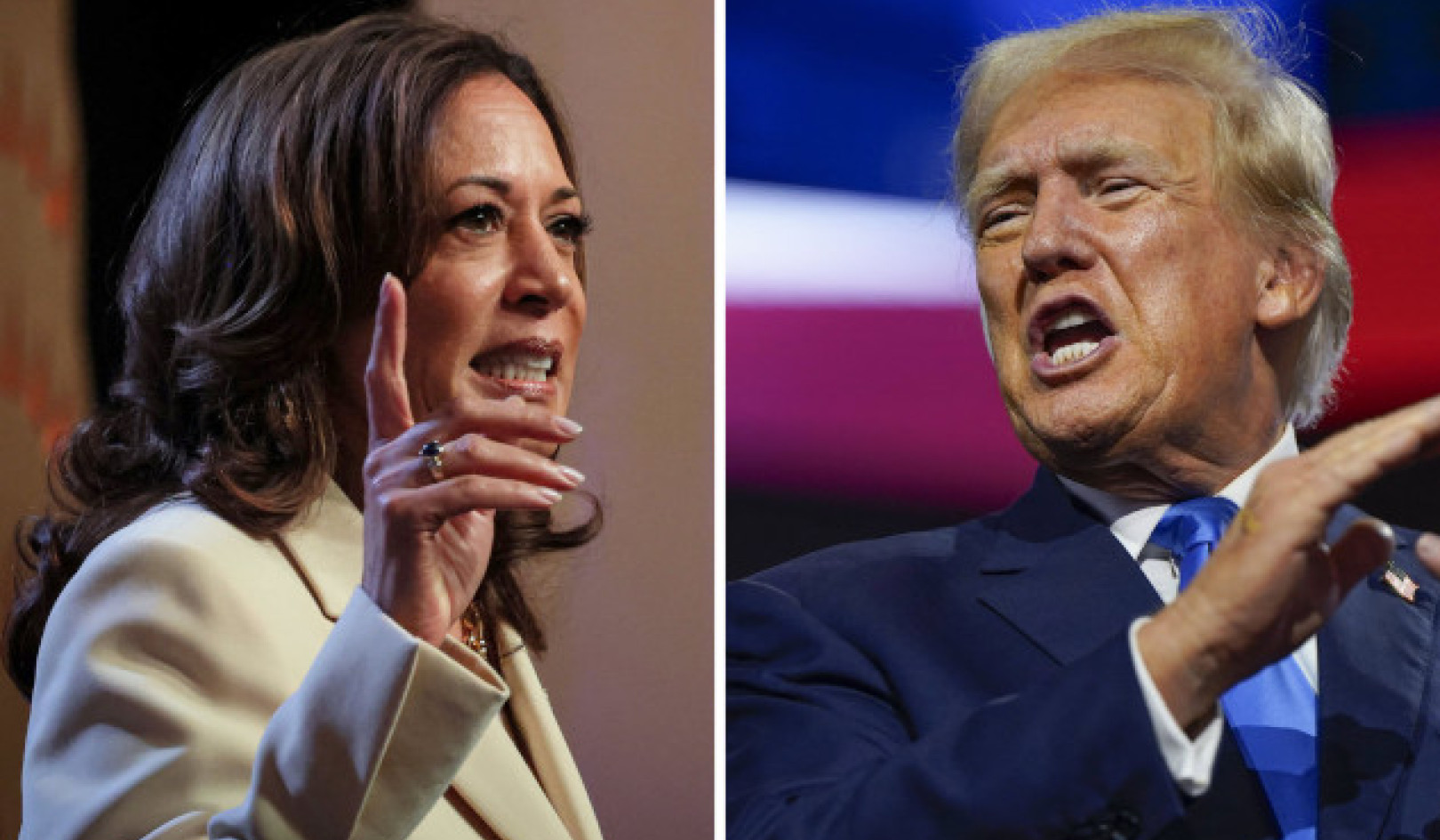 2024 Business Decision: Vote Harris or Trump?