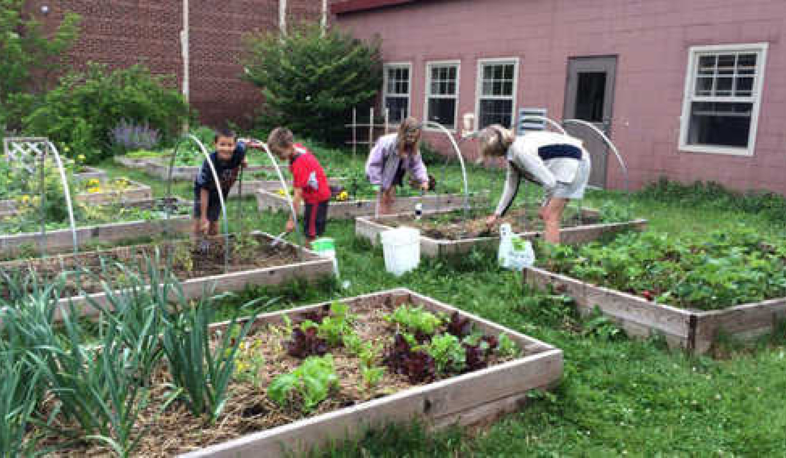 How School Gardens Reconnect Kids With Food