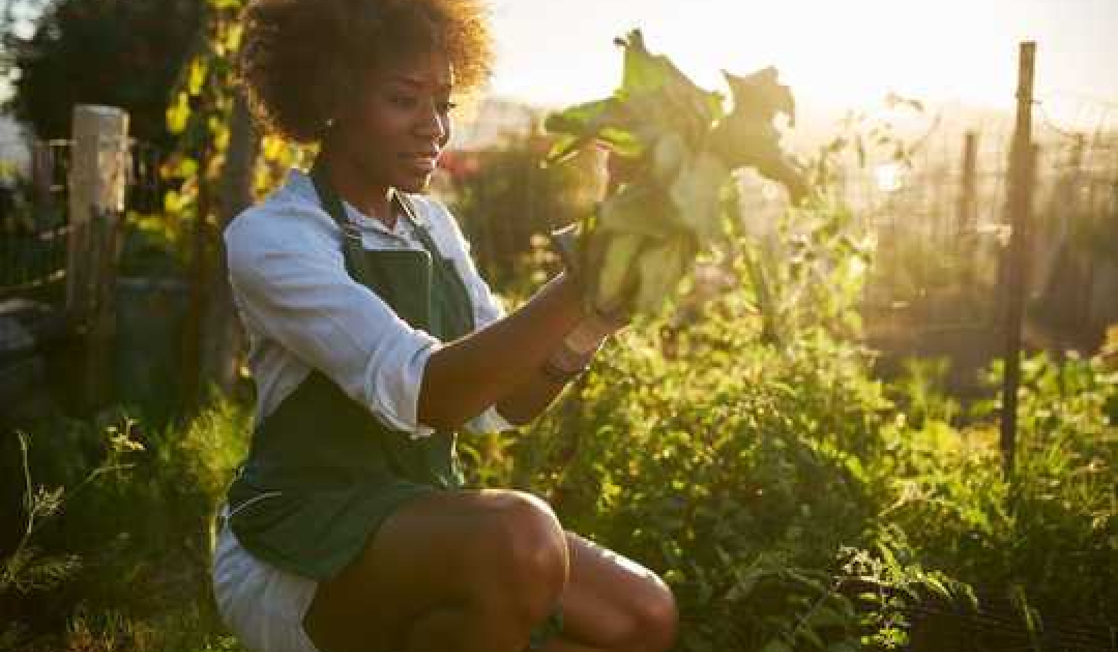 Why Doctors Are Prescribing Gardening For Anxiety And Depression Rather Than Drugs