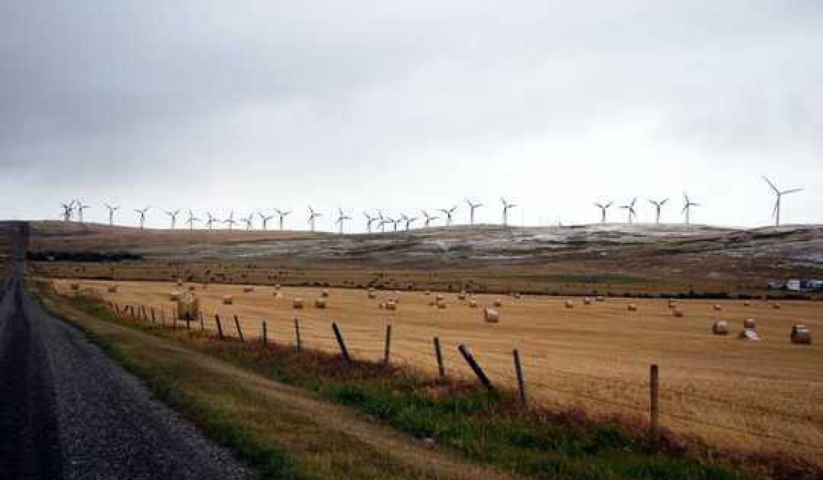 How Canadian Agricultural Producers Can Lead The Way In Climate Action