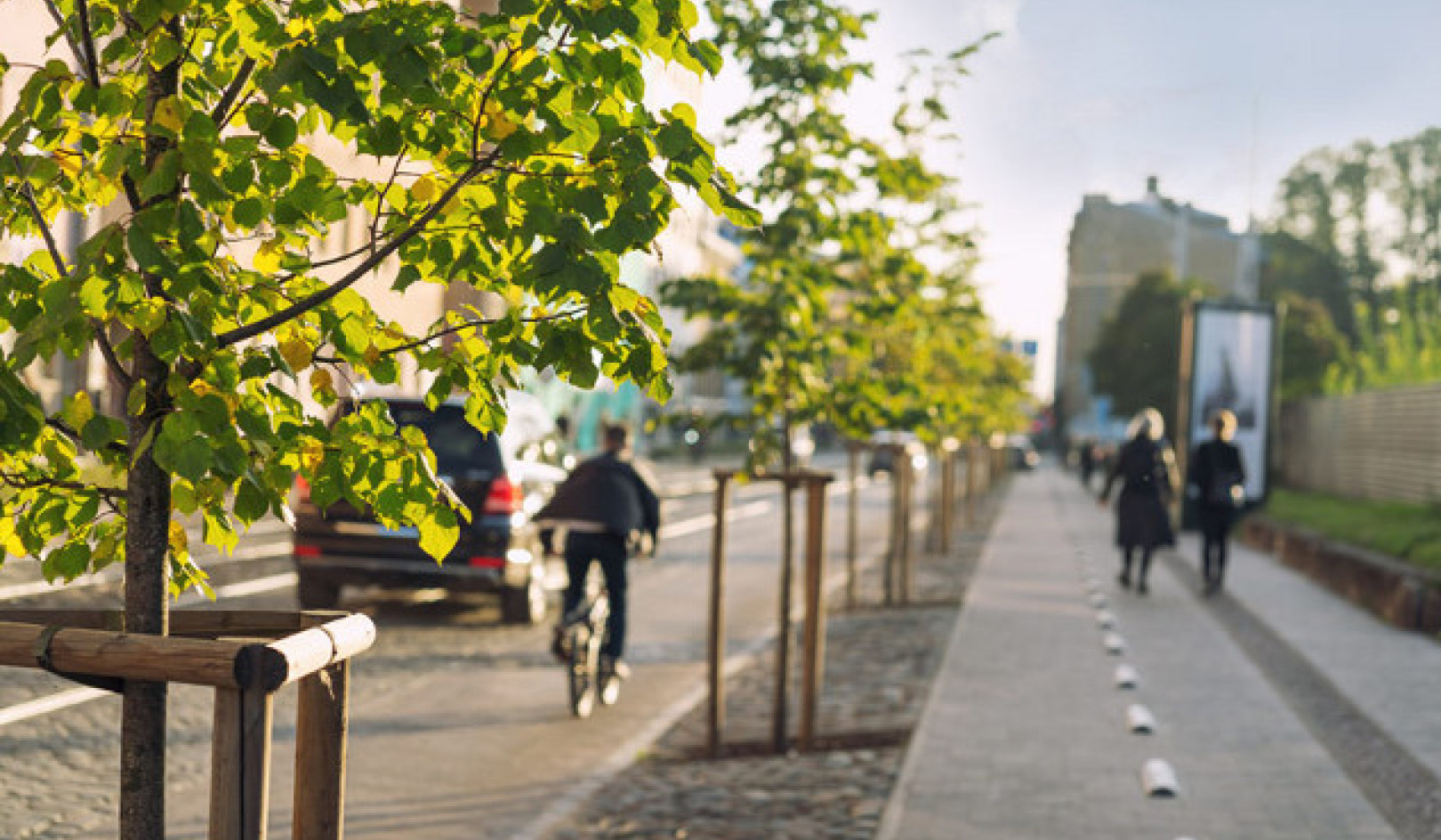 Urban Tree Planting: Top 10 Health Benefits