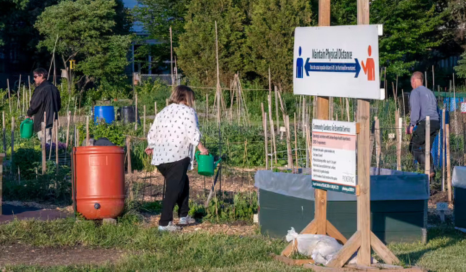 What City Vegetable Gardens Produce More Than Just Food