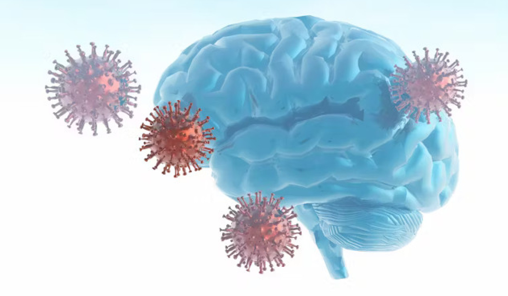 The Long-Term Effects of COVID-19 on Brain Function Explained