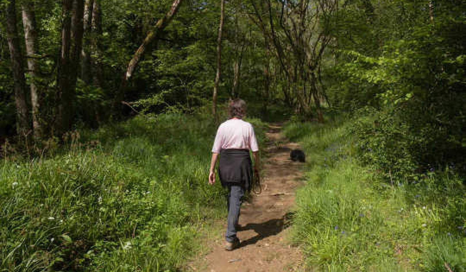 Should Your Doctor Send You For A Walk In The Park?