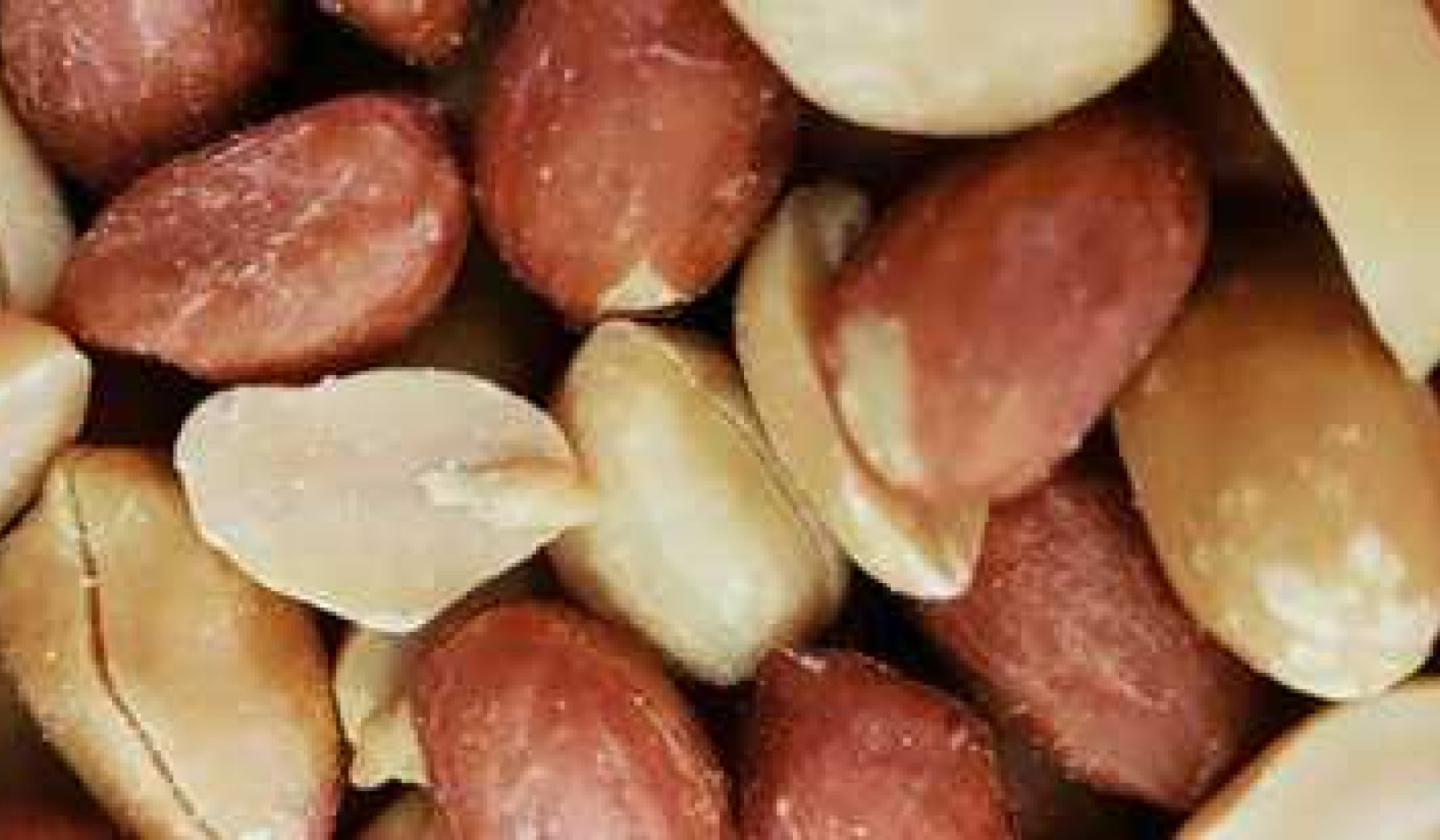 Why Peanuts Trigger Such Powerful Allergic Reactions