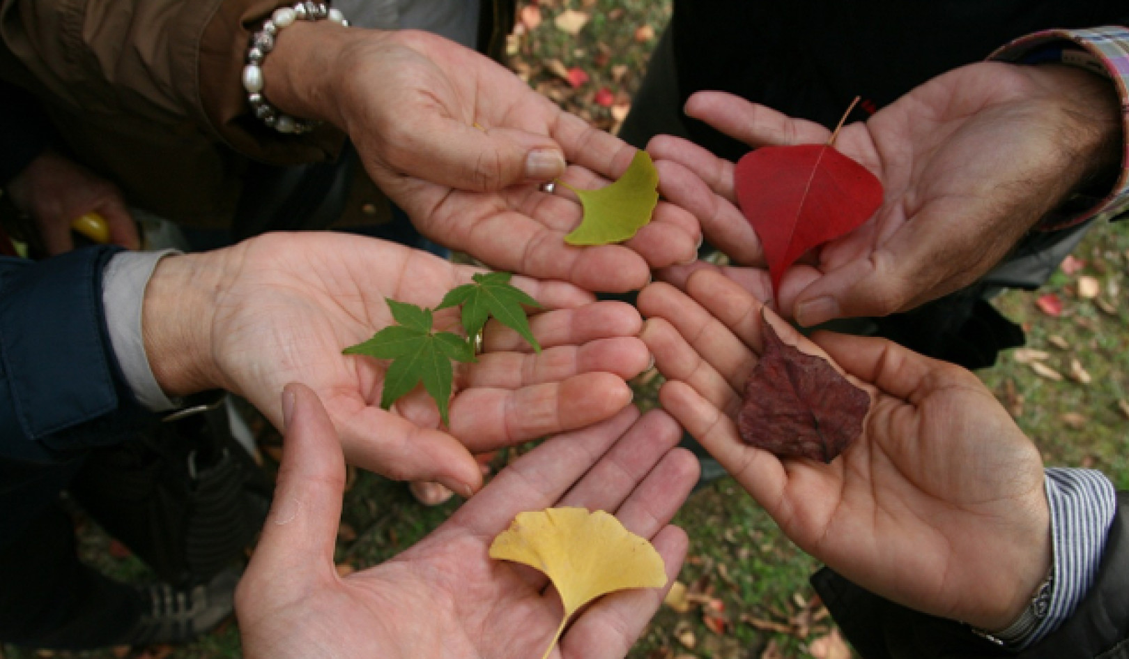 Tolerance and Acceptance in a World of Constant Contrasts