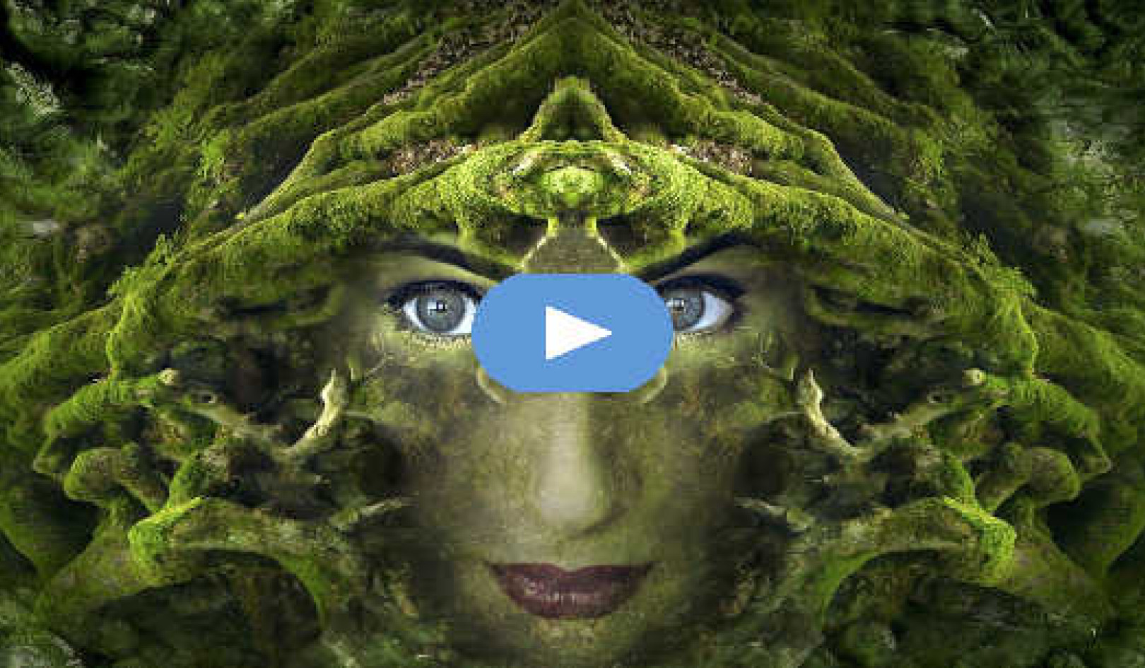 Attuning to the Language of Nature (Video)