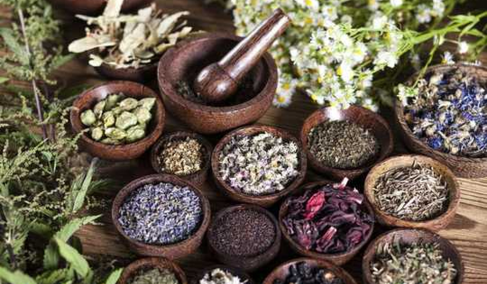 Traditional Medicines Should Be Integrated Into Health Care For Culturally Diverse Groups