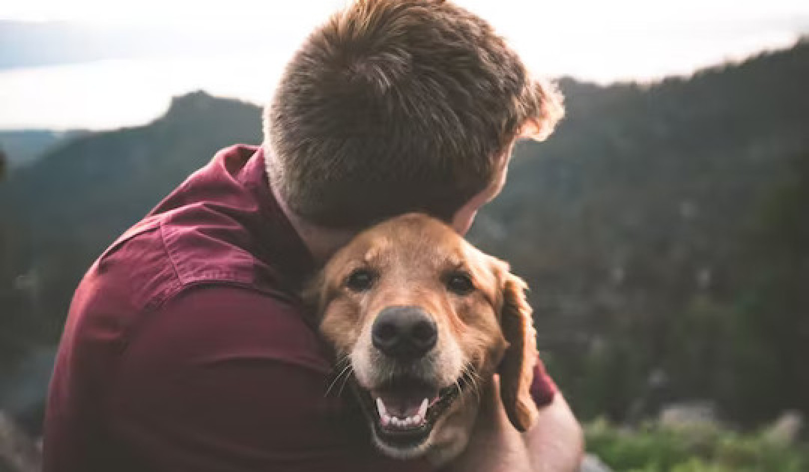 What Makes Anxious Dogs Different from Normal Dogs