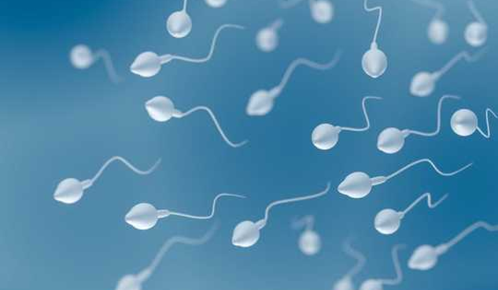 Coronavirus Has Been Found In The Semen Of Young Men