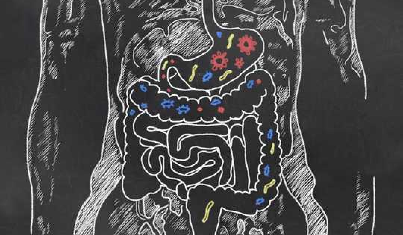 Gut Microbes Can Be Picky Eaters – Here's Why It Matters