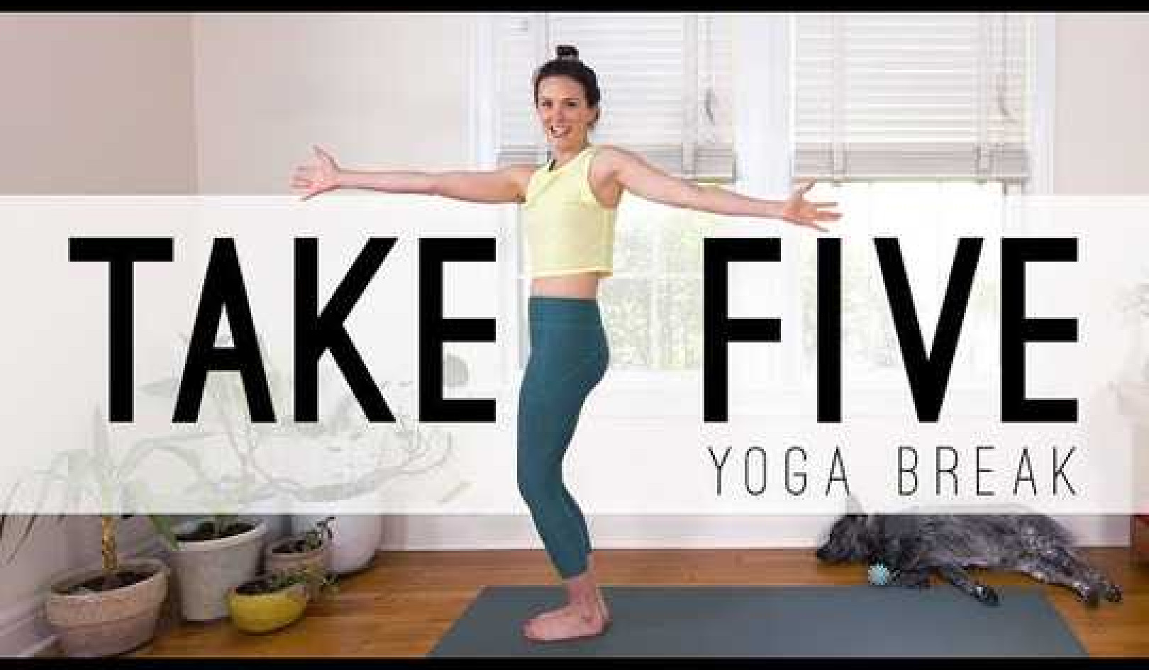 Take 5 Yoga Break!  With Adriene