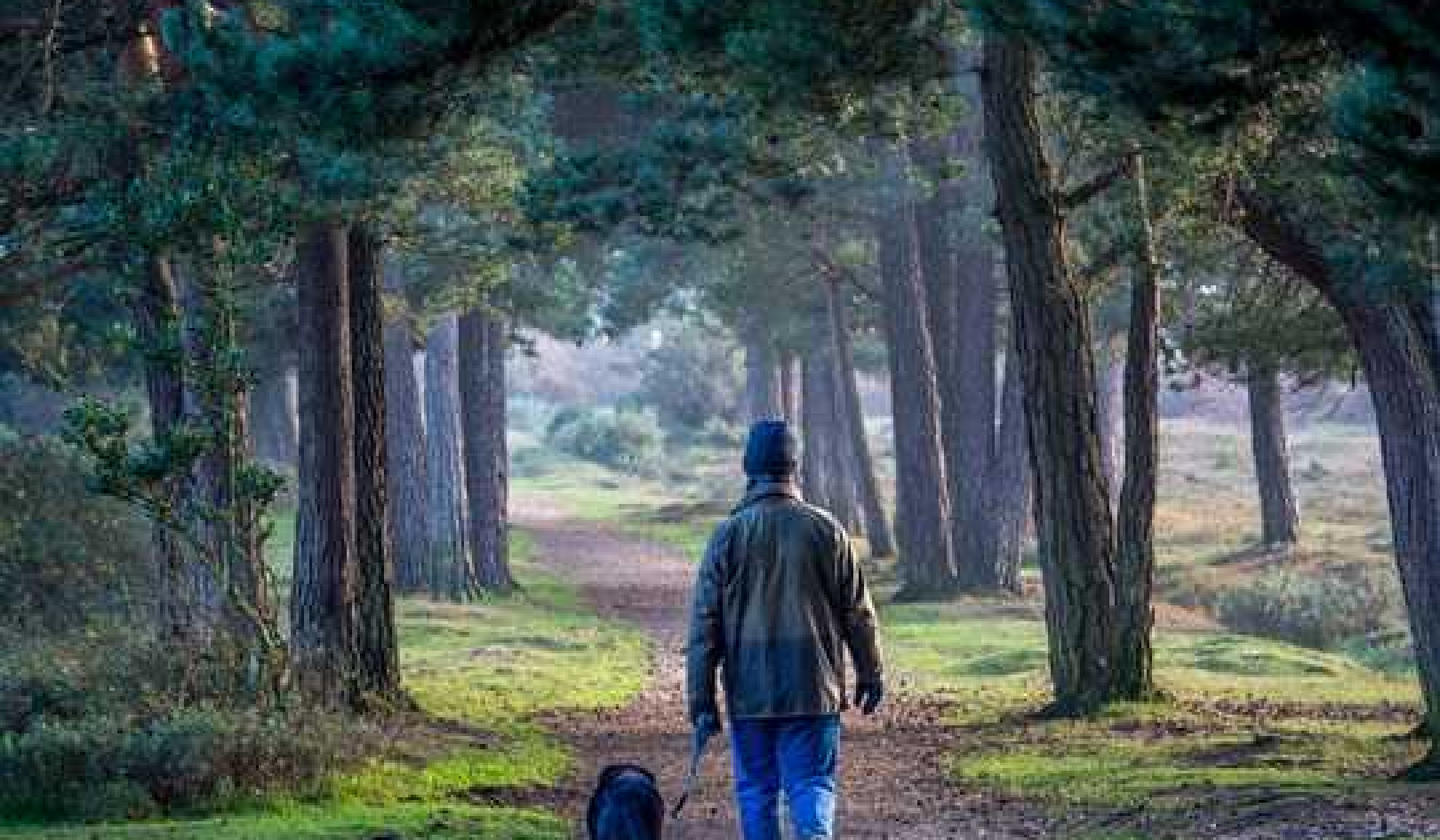 Spending Two Hours A Week In Nature Is Linked To Better Health And Well-being