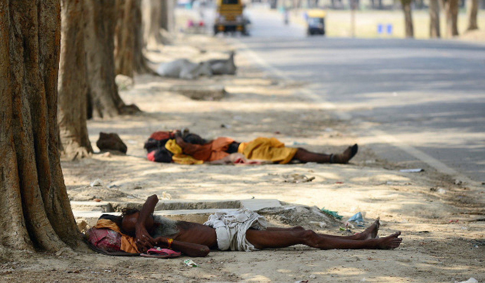 Surviving the Heat: Lessons from Delhi's Extreme Summer