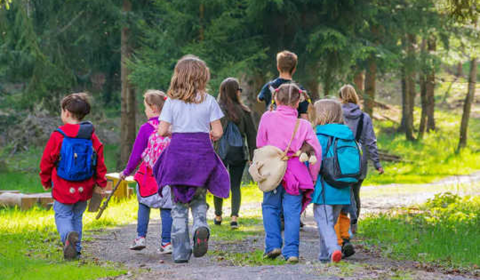 Time to make nature studies a compulsory school subject – before it’s too late