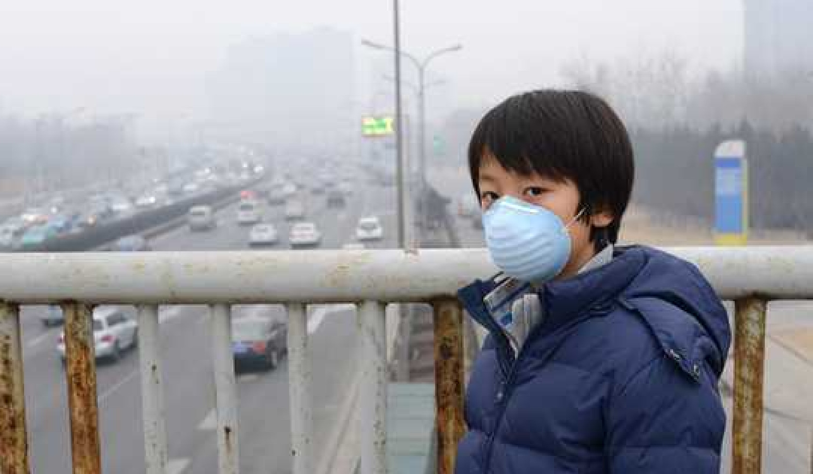 Air Pollution In Global Megacities Linked To Children's Cognitive Decline, Alzheimer's And Death