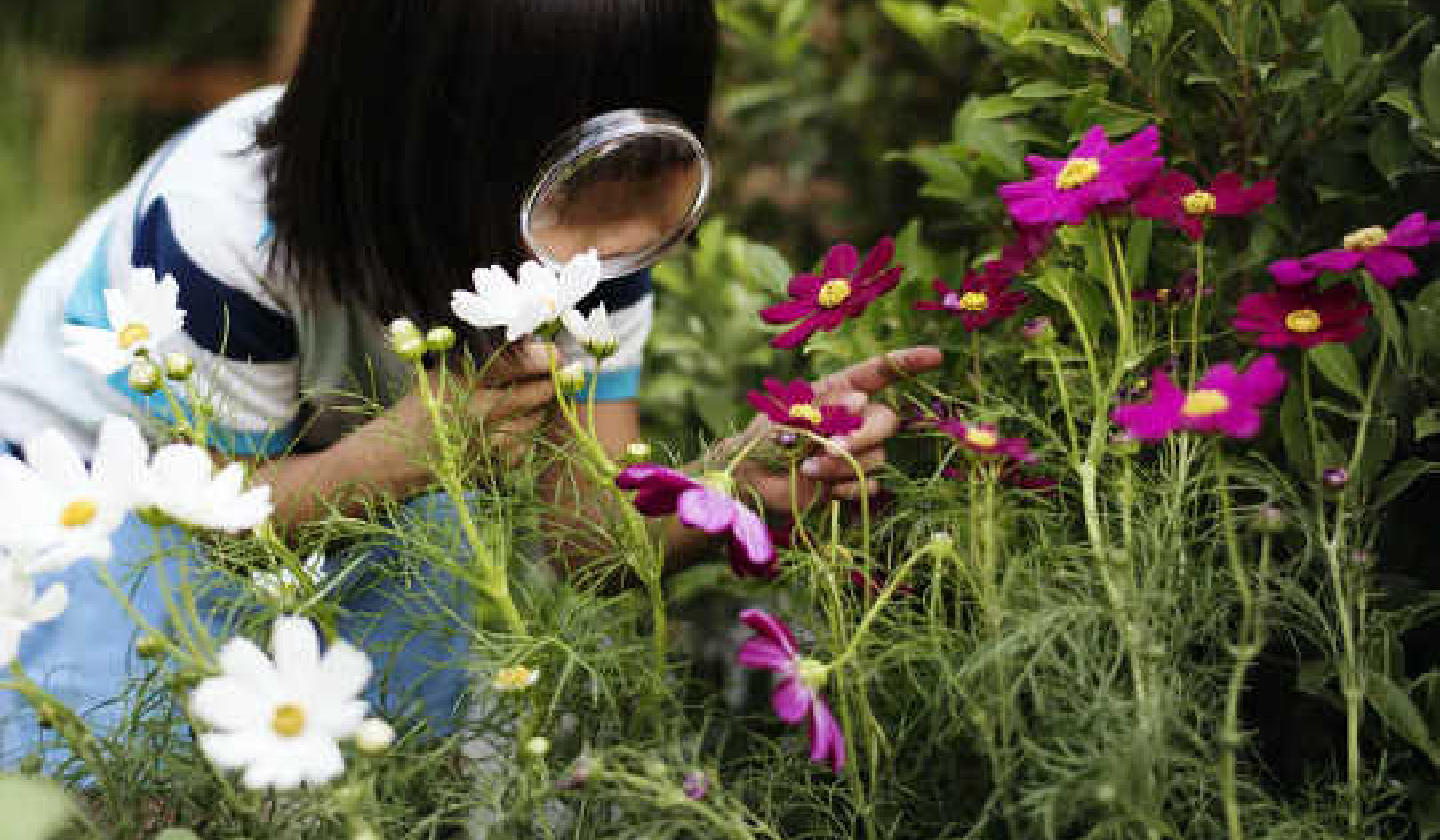 3 Backyard Science Activities For Curious Kids