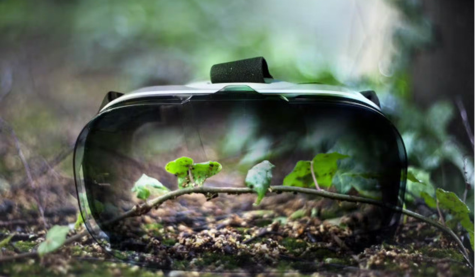 Virtual Reality vs. Real Nature: What's Better for Wellness?