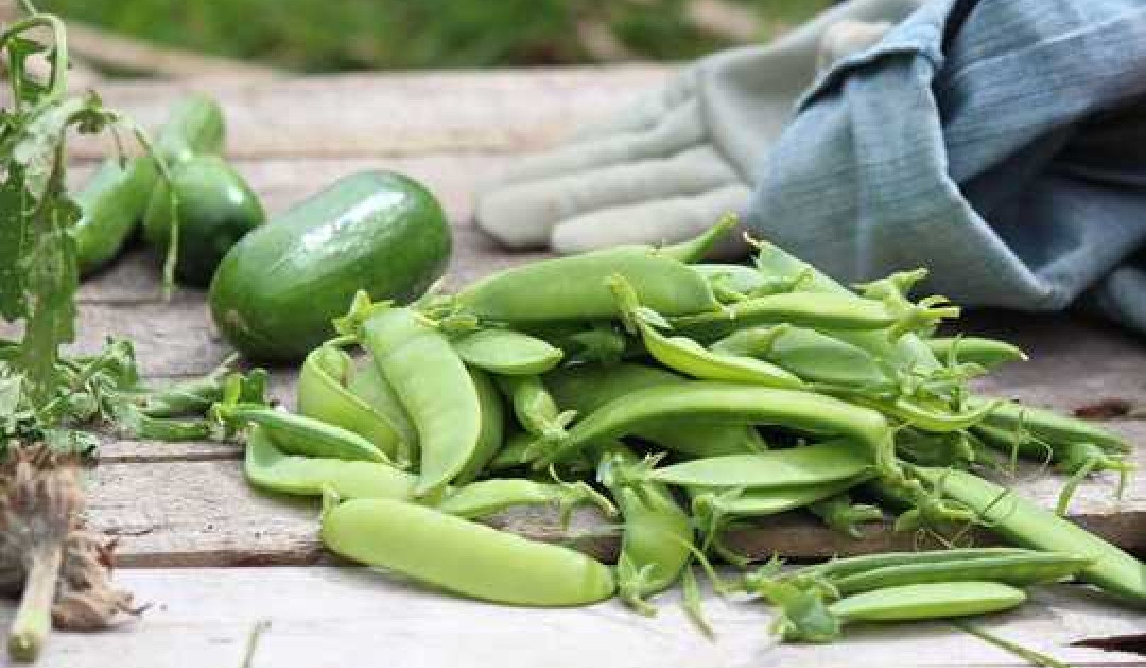 It's A Great Time To Start A Vegetable Garden