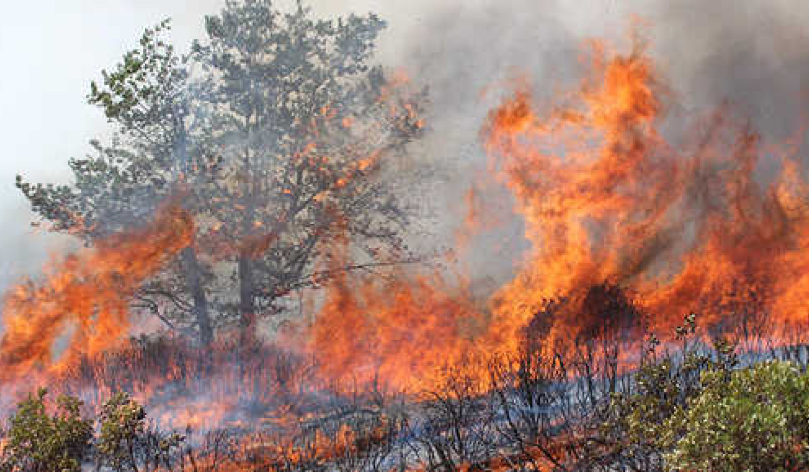 Why Wildfire Health Hazards Extend Hundreds Of Miles