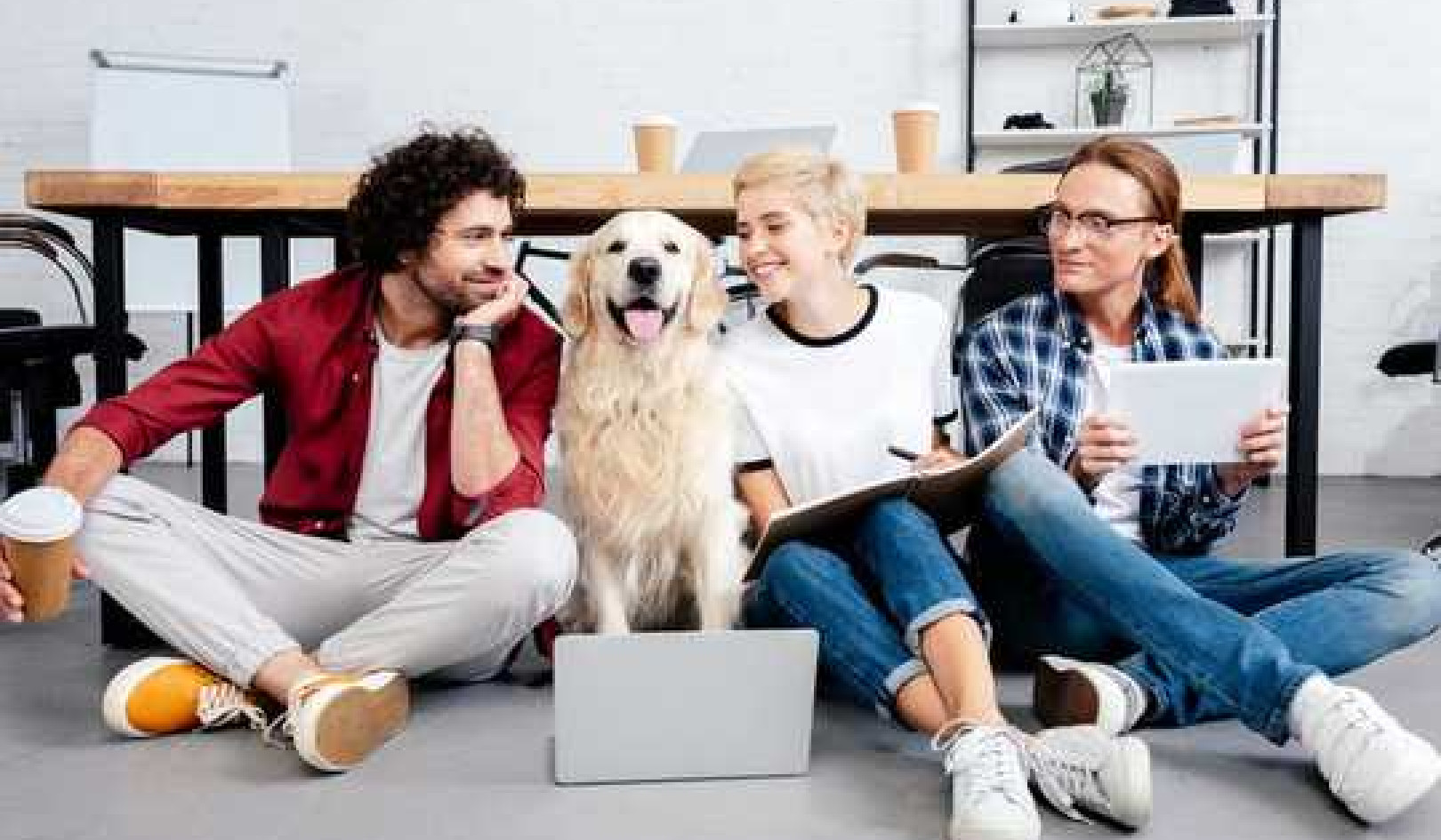 Why More Companies Are Going Dog Friendly