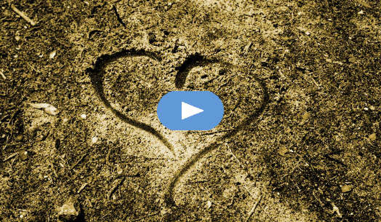 How Can We Heal Our Broken World? (Video)